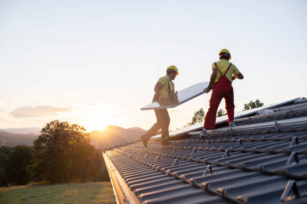 Best Roof Moss and Algae Removal  in St Francis, WI