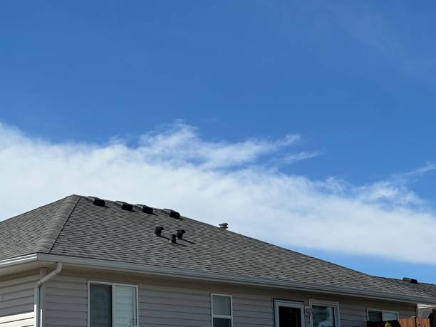 Best Roof Ventilation Installation  in St Francis, WI